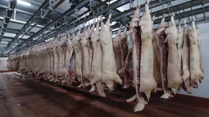 Este oficial: România poate exporta carne de porc în China