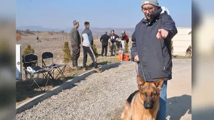 Câinele preşedintelui CCR, Augustin Zegrean, campion naţional la o expoziţie canină de frumuseţe VIDEO
