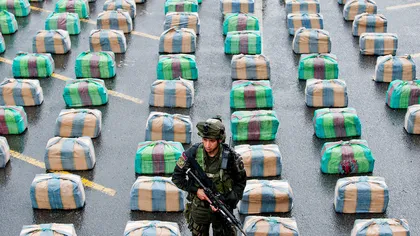 Peste patru tone de canabis, atribuite FARC, confiscate în Columbia