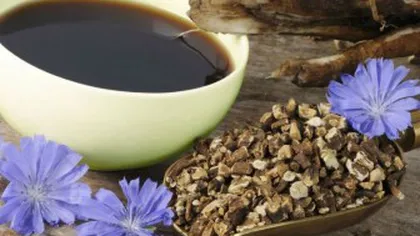 Cicoarea, alternativă sănătoasă pentru cafea