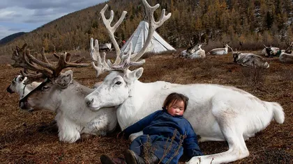 Fotografii impresionante din viaţa unui trib din Mongolia: Cum trăiesc 