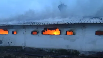 Incendiu de proporţii la un abator din Satu Mare VIDEO