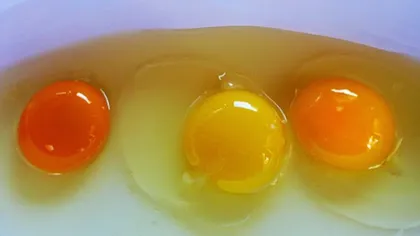 Cum arată un ou sănătos? Ce semnifică, de fapt, culoarea gălbenuşului
