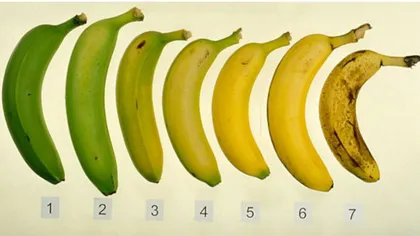 Diferenţa URIAŞĂ între bananele pe care le găseşti pe rafturile supermarketurilor