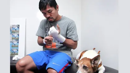 Meciul Secolului, în box. Manny Pacquiao, dezvăluire şocantă: Tatăl său i-a mâncat câinele