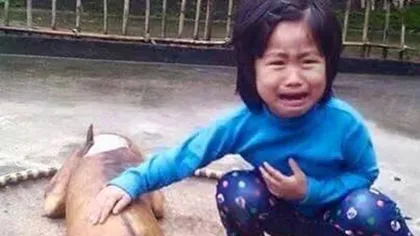 Momentul sfâşietor în care o fetiţă află ce s-a întâmplat cu câinele ei mult iubit IMAGINI ŞOCANTE