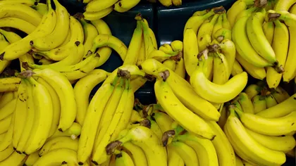 Descoperire STUPEFIANTĂ făcută într-o cutie de banane dintr-un SUPERMARKET: Valora 14 MILIOANE de EURO