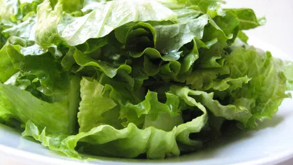 De ce este bine să mănânci în fiecare zi salată verde