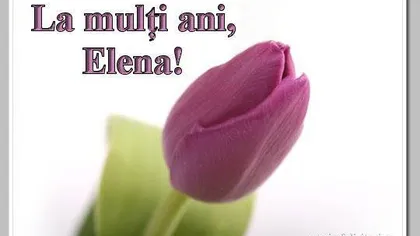 RUXANDRA DRAGOMIR, mesaj pe Facebook pentru Elena Udrea