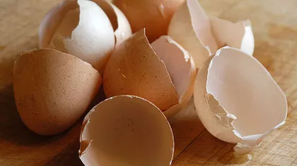 Tu arunci cojile de ouă? Vezi ce poţi face cu ele şi cât sunt de sănătoase sunt pentru organism
