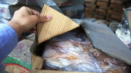 Zeci de tone de carne congelată, veche de 40 de ANI, CONFISCATĂ după ce a fost scoasă la vânzare FOTO