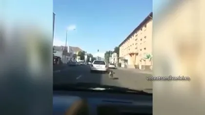 Un şofer şi-a legat câinele de maşină şi l-a tras kilometri întregi prin oraş VIDEO