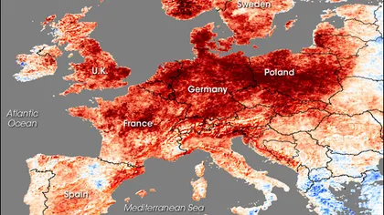 CANICULĂ în Europa: 44,3 grade Celsius, cea mai ridicată temperatură din istoria Franţei