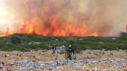 Spania: Incendiile au devastat peste 10.000 de hectare de vegetaţie în Andaluzia