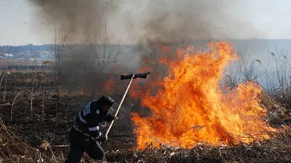Incendiu de vegetaţie din Bacău, stins după 13 ore