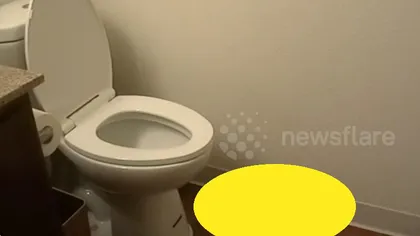 Un american a instalat o cameră video în baie şi a rămas fără cuvinte când a văzut înregistrarea VIDEO
