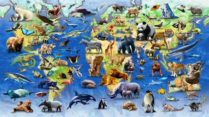 Nicio specie nu este protejată în caz de extincţie în masă
