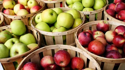 De ce este bine să mănânci un măr după fiecare masă
