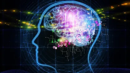 Creierul uman: Mituri uluitoare - Ce este adevărat şi ce este fals