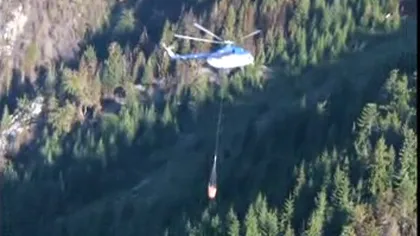 INCENDIU VIOLENT la o pădure din Retezat. 40 de pompieri şi un elicopter intervin VIDEO