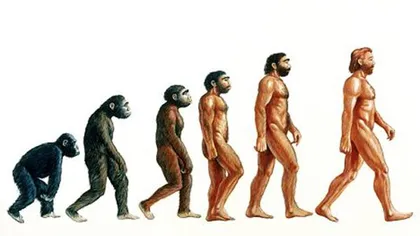 Evoluţia umană. Cel mai vechi fragment de 