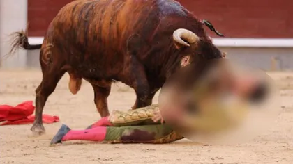 IMAGINI ŞOCANTE! Un taur îi străpunge craniul unui toreador pentru a doua oară în 4 luni VIDEO
