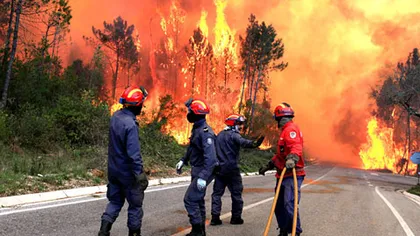 Portugalia arde. 600 de pompieri încearcă să stingă cel mai mare focar de incendii dintr-un parc natural