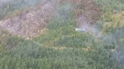 INCENDIU DEVASTATOR de pădure în Cluj VIDEO