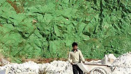 A pictat un MUNTE în verde, pentru a-i îmbunătăţi feng shui-ul