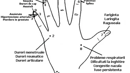 Cum să-ţi masezi degetele de la mâna stângă pentru a scăpa de multe dureri