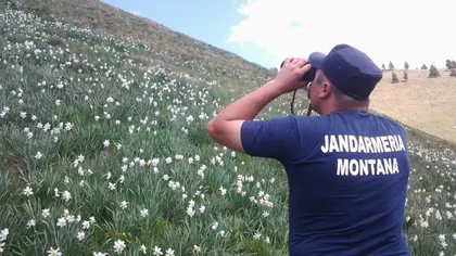 Jandarmii montani care caută planorul dispărut au găsit 50 de mine antipersonal