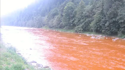 POLUARE pe râul Bistriţa: APA s-a făcut ROŞIE