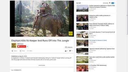 Furie în sălbăticie: Un elefant şi-a ucis stăpânul şi a fugit în junglă cu doi turişti şi un copil VIDEO