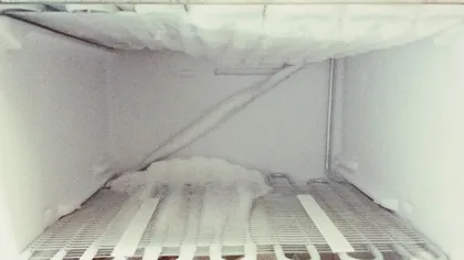 DESCOPERIRE MACABRĂ în congelatorul unui bărbat
