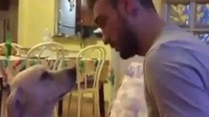 Un câine îşi cere iertare stăpânului său VIDEO
