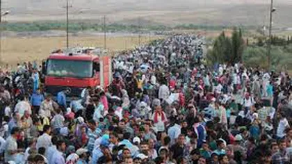 CRIZA REFUGIAŢILOR: 39 de imigranţi au fost convinşi să meargă la un centru de primire din Ungaria