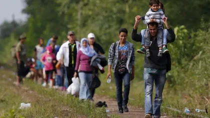 23.000 de migranţi sunt aşteptaţi la Roszke, Ungaria, în acest weekend