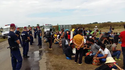 Vasile Blaga: România trebuie să se pregătească pentru a avea soluţii pentru un număr mare de refugiaţi