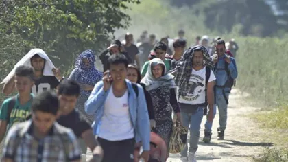 CNCD, apel la un limbaj şi un comportament nediscriminatorii privind criza refugiaţilor