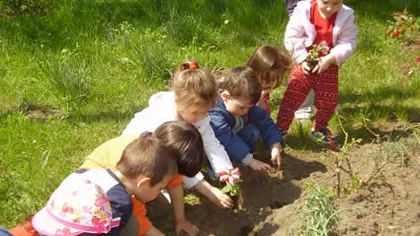 Cum îţi faci copiii să iubească natura