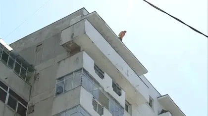 Tragedie în Arad: S-a aruncat de la etajul al 10-lea după o dispută familială