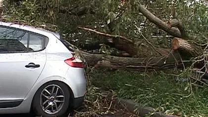 Vreme EXTREMĂ în România: caniculă şi furtuni VIOLENTE. Maşini DISTRUSE de copaci la Piteşti. VIDEO