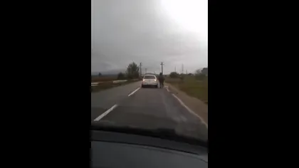 Imagini ŞOCANTE în România. Un şofer a LEGAT un cal de maşină VIDEO