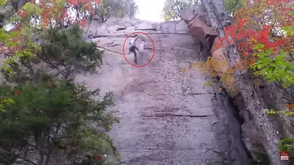 Momentul în care un alpinist cade în gol, de pe o stâncă. Ce s-a întâmplat, pare să nu fie adevărat VIDEO