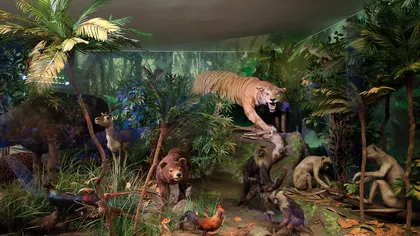 ZIUA ANIMALELOR. Cei cu nume de animale intră gratuit la Muzeul Antipa şi la Zoo