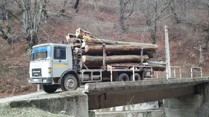 Drumul spre Platoul Padina, monitorizat pentru a descuraja traficul camioanelor cu lemne