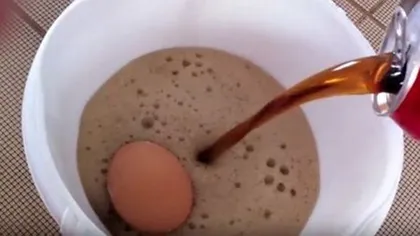 A pus un ou în Cola şi l-a lăsat acolo timp de un an de zile. Ce a descoperit ulterior