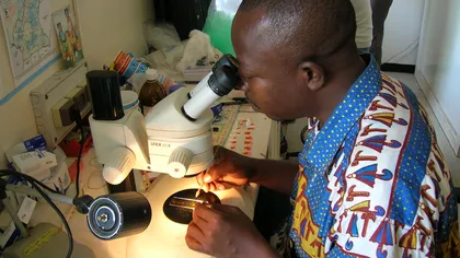 Malaria rezistentă la tratamentele standard s-ar putea extinde pe alte continente