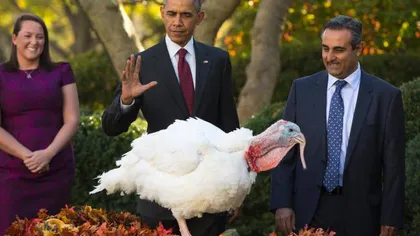 Obama a graţiat oficial doi curcani, în ajun de Ziua Recunoştinţei