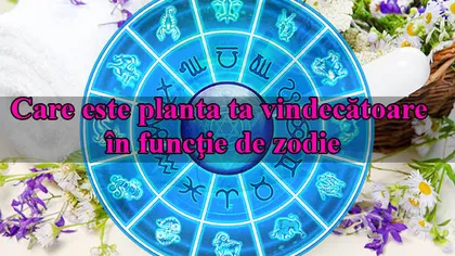 Horoscop: Care este planta ta vindecătoare în funcţie de zodie